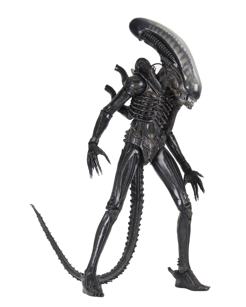 NECA - Aliens: 40th Anniversary - Big Chap 1/4 Scale Action Figure (Pre-Order Ships February 2026)
