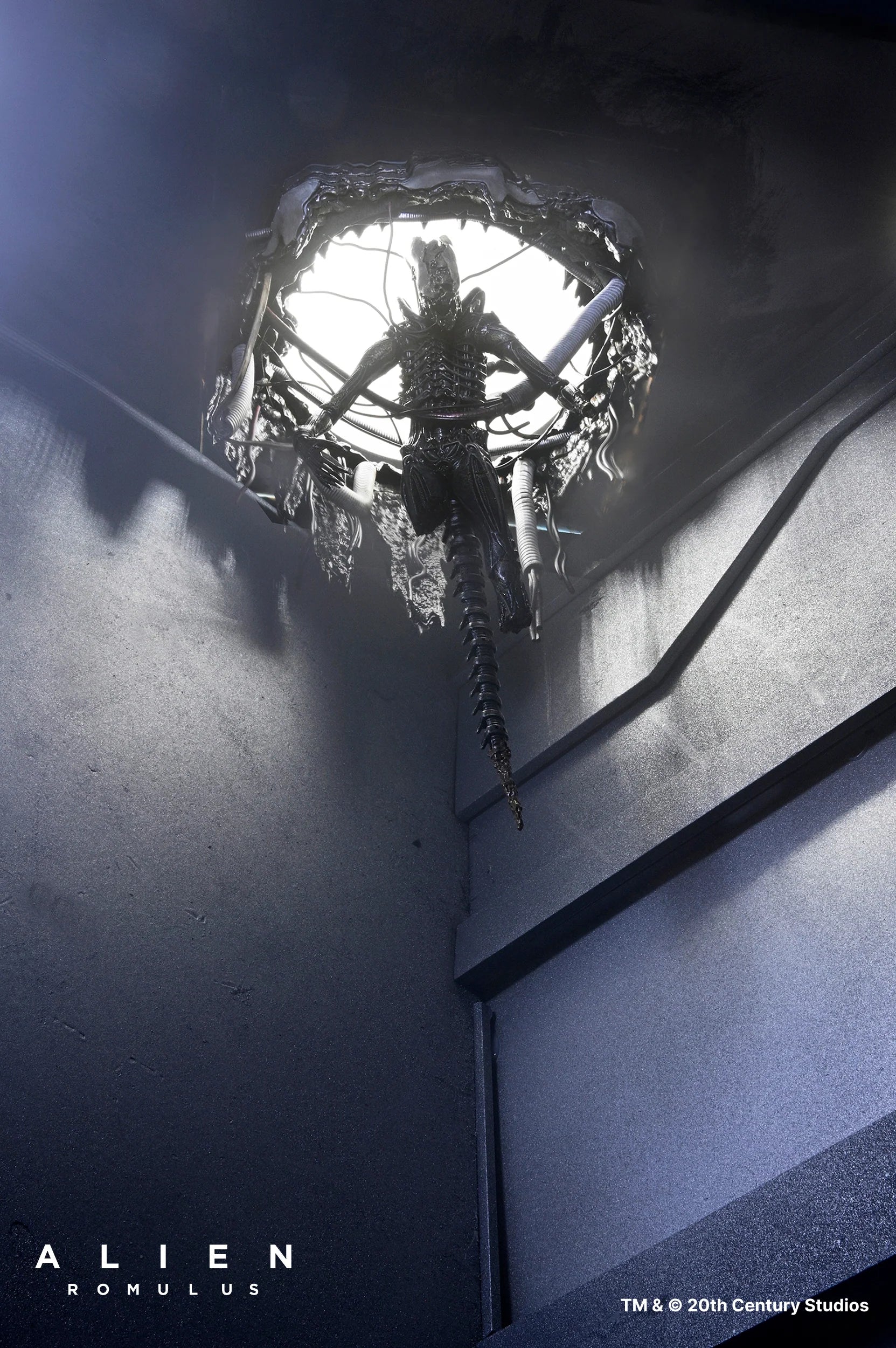 NECA - Alien: Romulus - Deluxe Suspended Xenomorph XX121 7" Scale Action Figure (Pre-Order Ships Q3 2025)