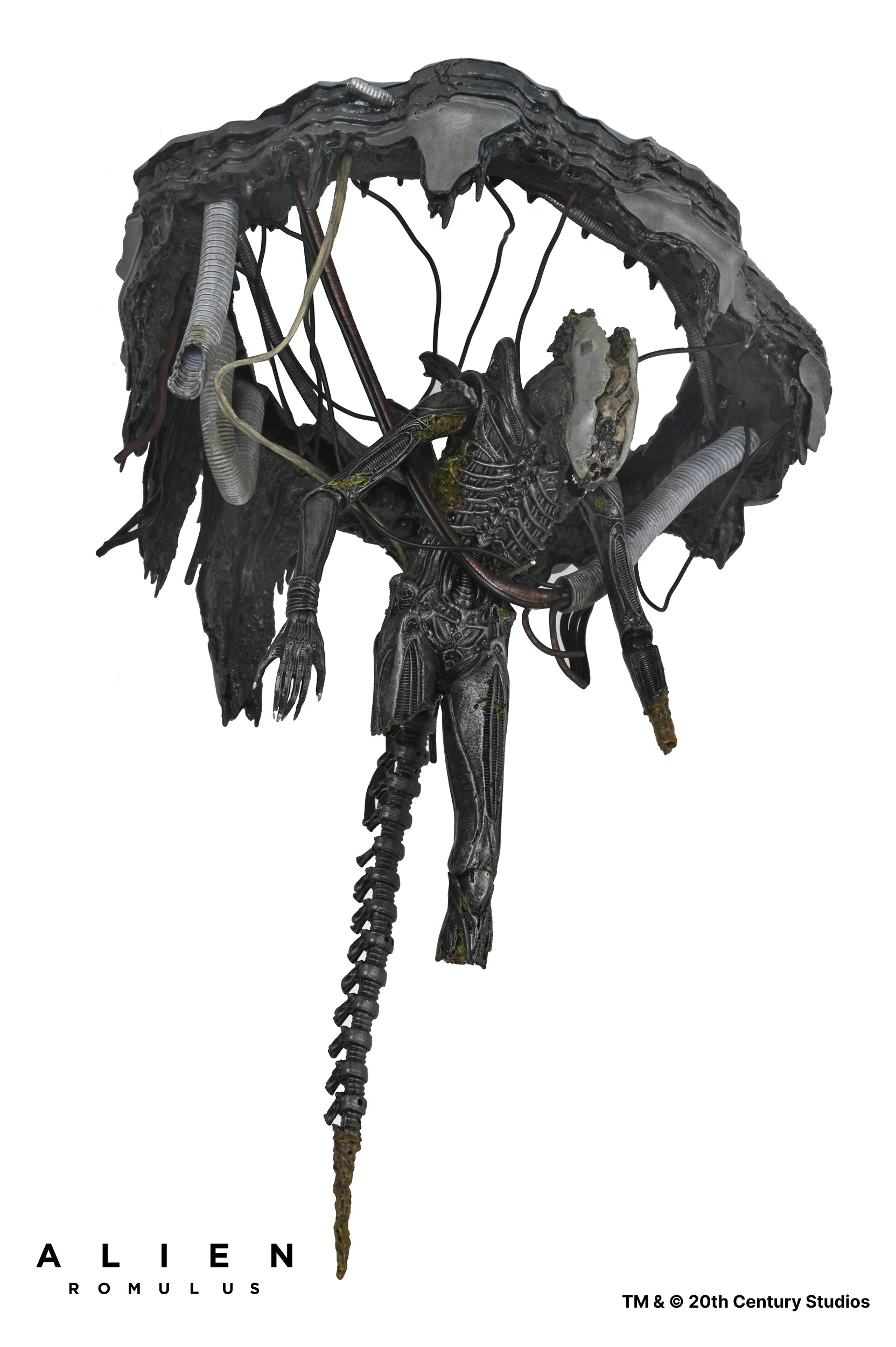 NECA - Alien: Romulus - Deluxe Suspended Xenomorph XX121 7" Scale Action Figure (Pre-Order Ships Q3 2025)