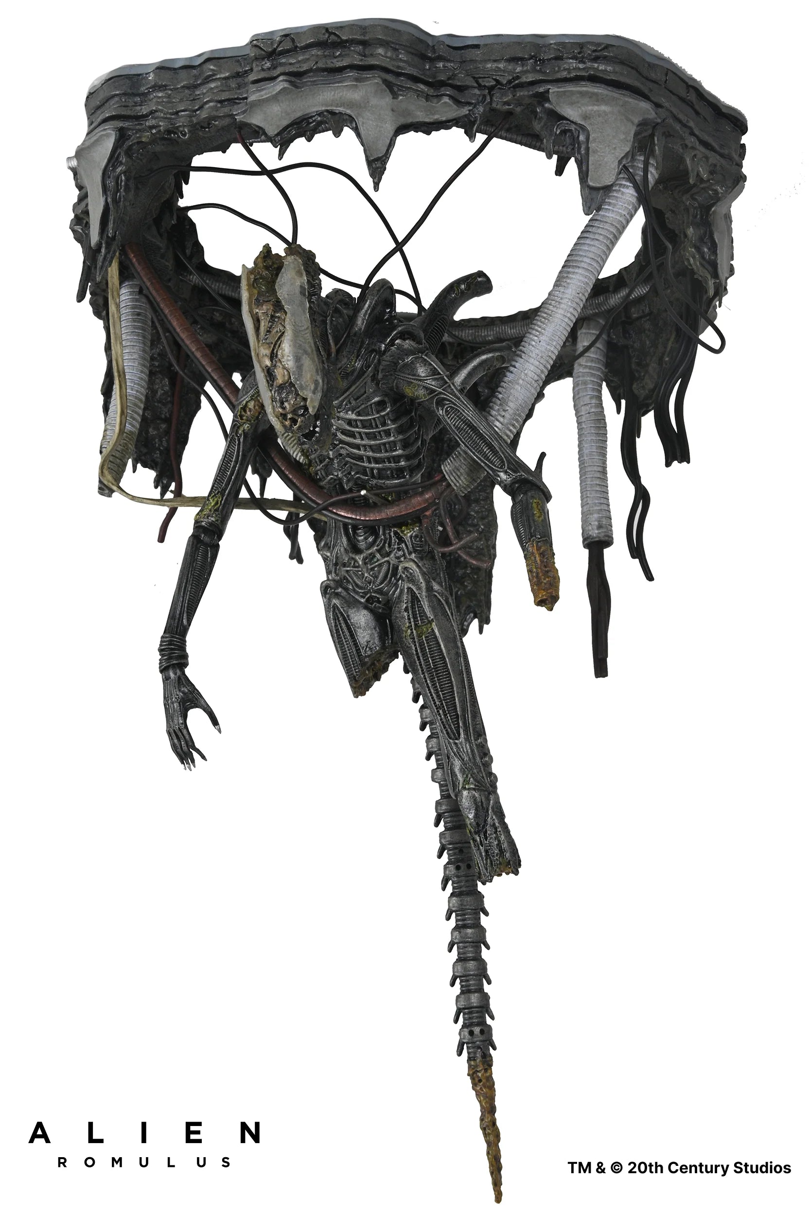 NECA - Alien: Romulus - Deluxe Suspended Xenomorph XX121 7" Scale Action Figure (Pre-Order Ships Q3 2025)