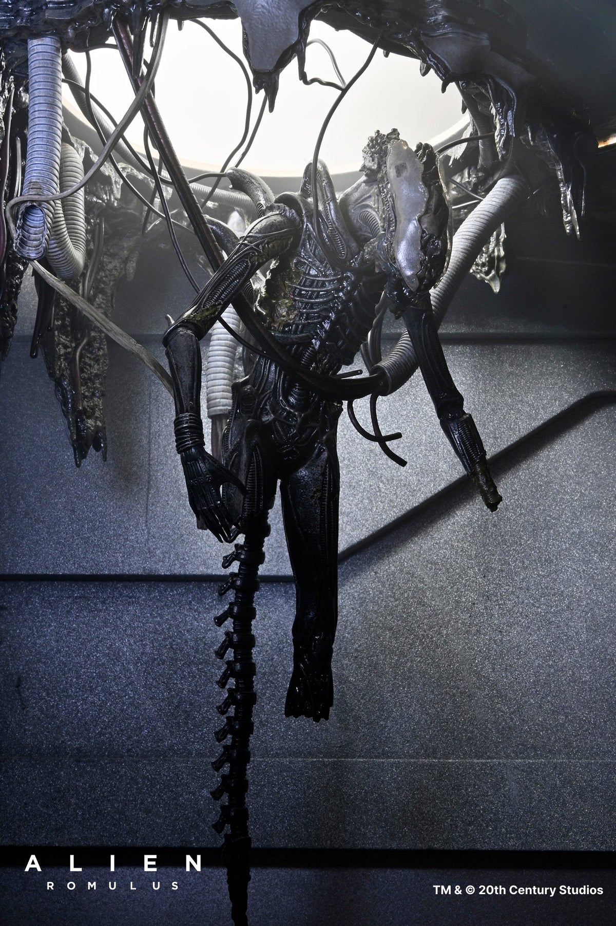 NECA - Alien: Romulus - Deluxe Suspended Xenomorph XX121 7" Scale Action Figure