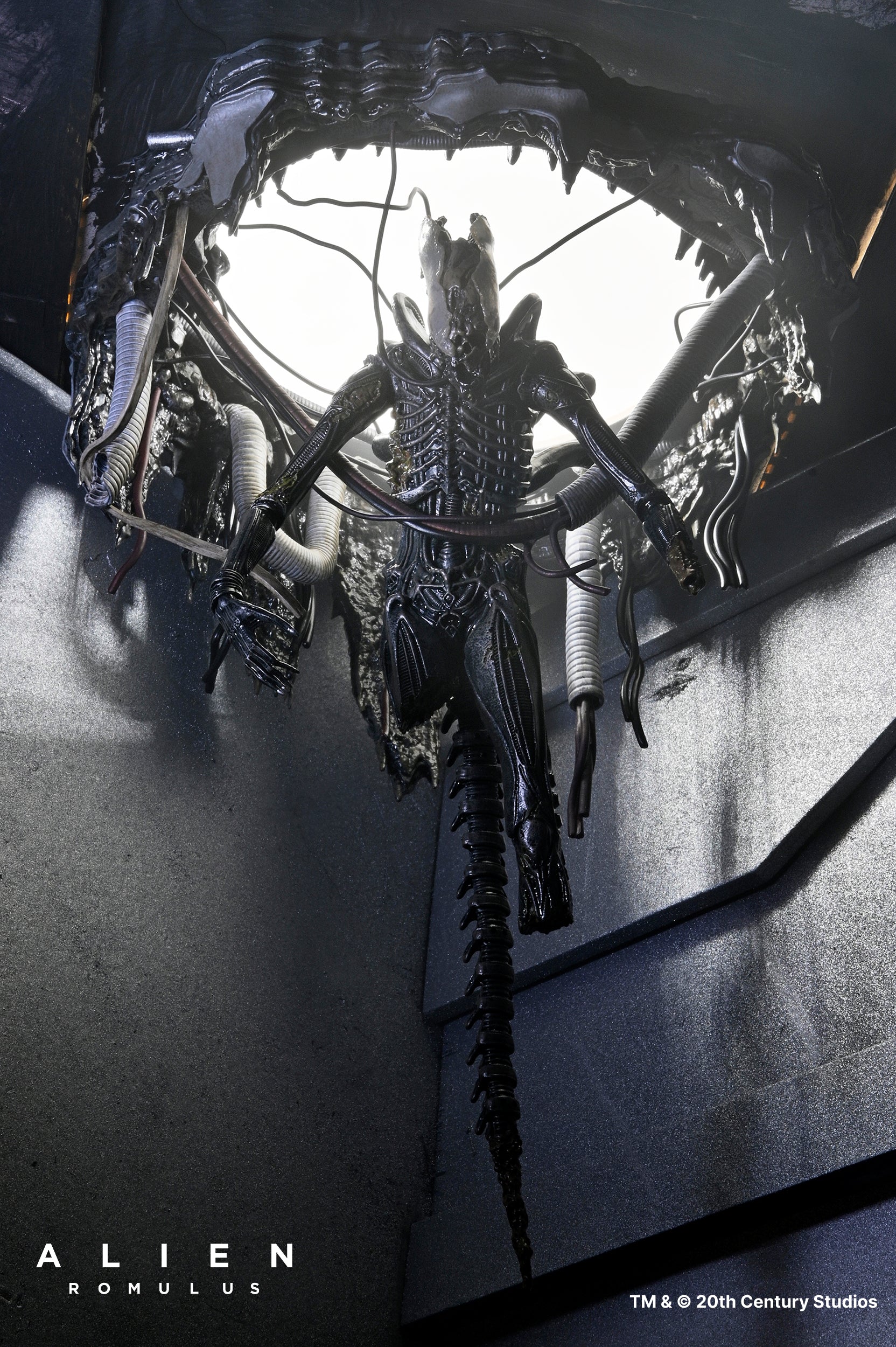 NECA - Alien: Romulus - Deluxe Suspended Xenomorph XX121 7" Scale Action Figure (Pre-Order Ships Q3 2025)