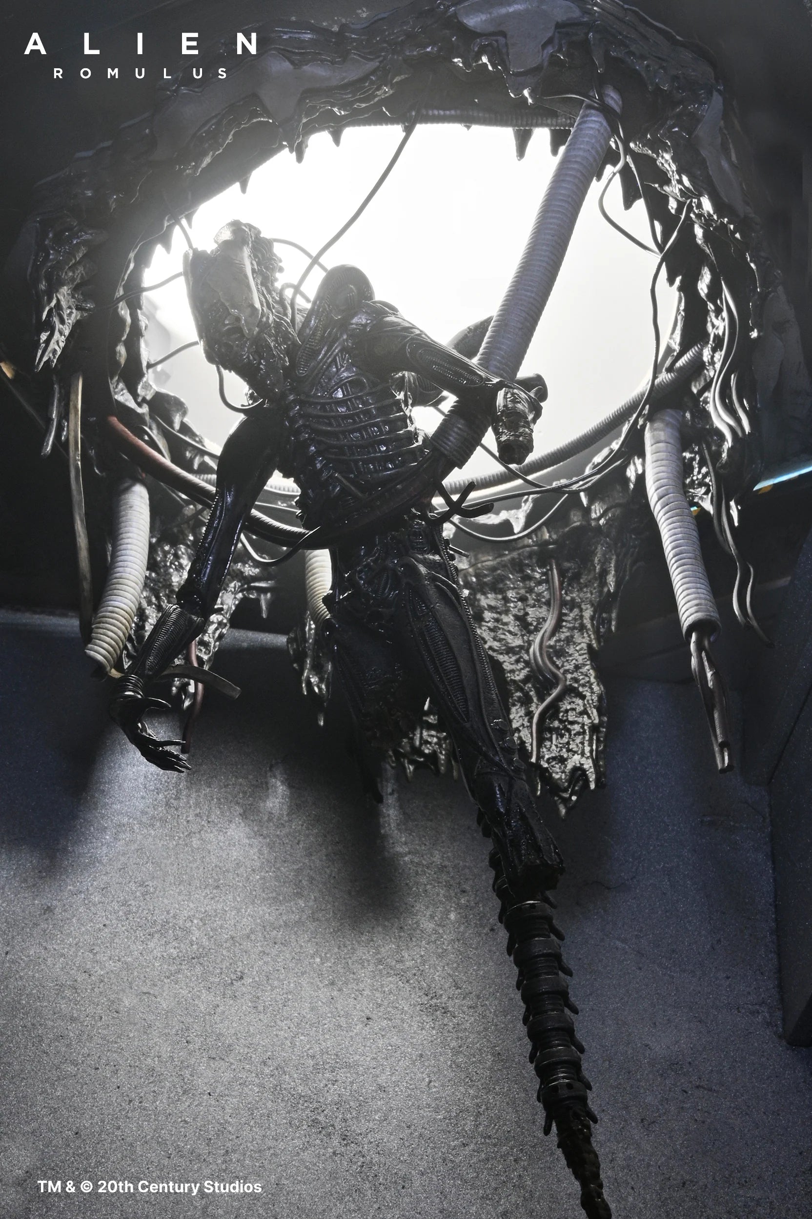 NECA - Alien: Romulus - Deluxe Suspended Xenomorph XX121 7" Scale Action Figure (Pre-Order Ships Q3 2025)