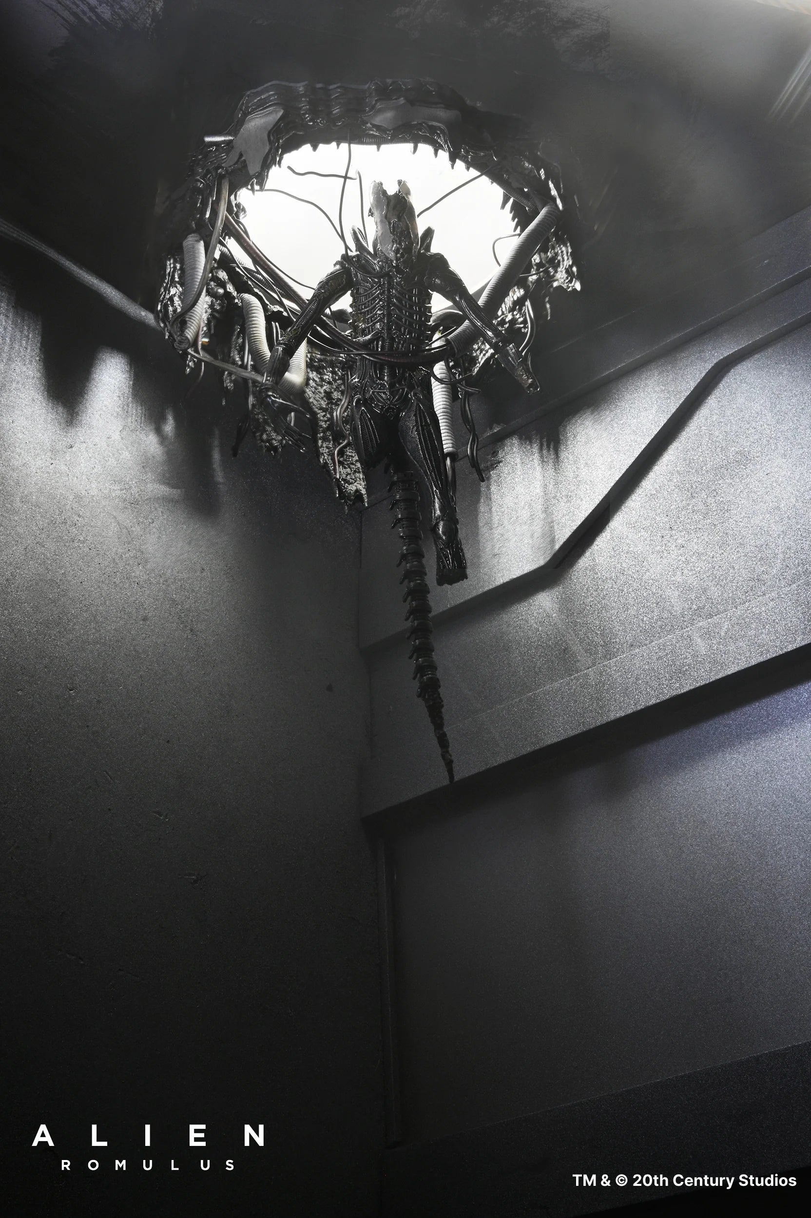 NECA - Alien: Romulus - Deluxe Suspended Xenomorph XX121 7" Scale Action Figure (Pre-Order Ships Q3 2025)