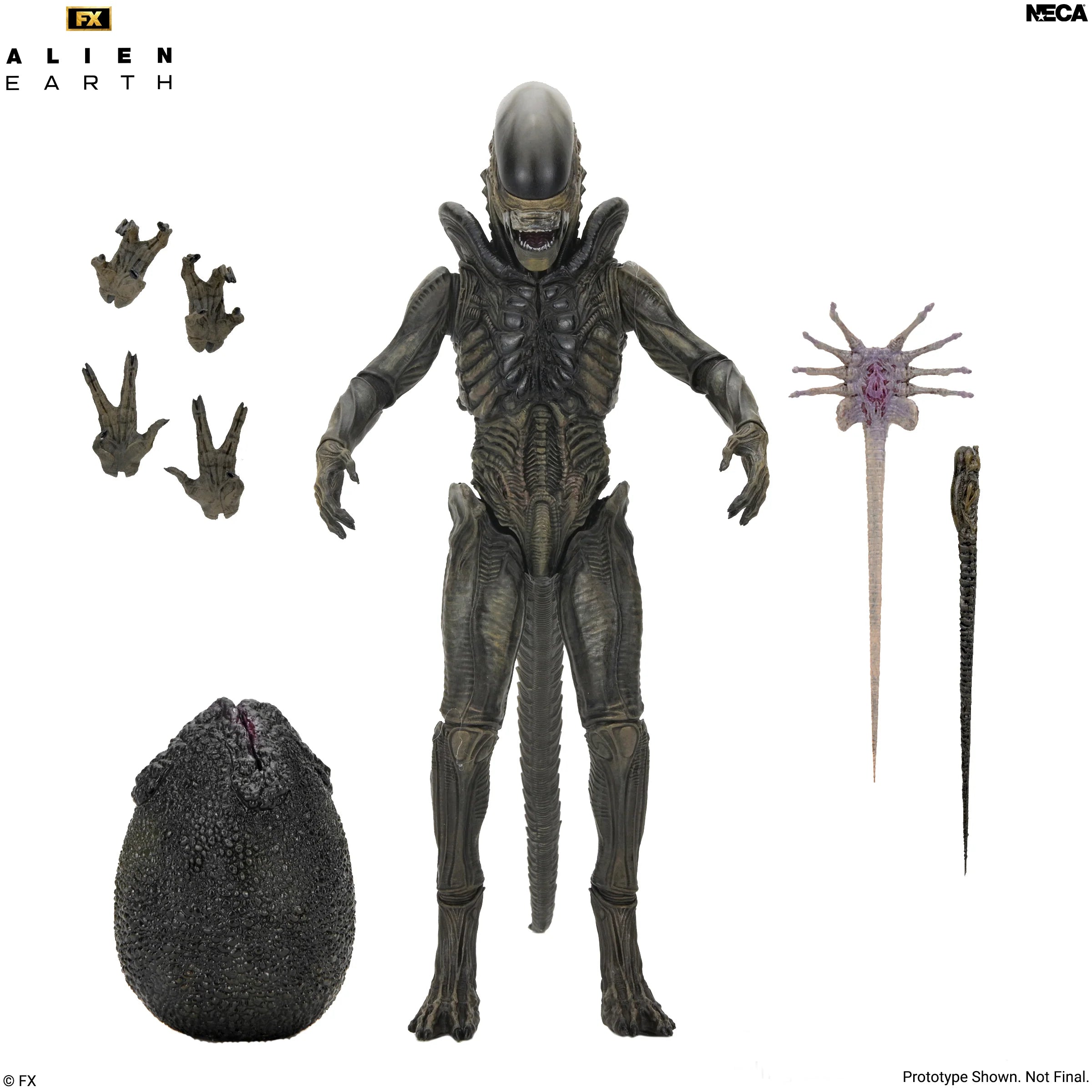 NECA - Alien: Earth - Ultimate Xenomorph 7" Scale Action Figure (Pre-Order Ships 1st Quarter 2027)