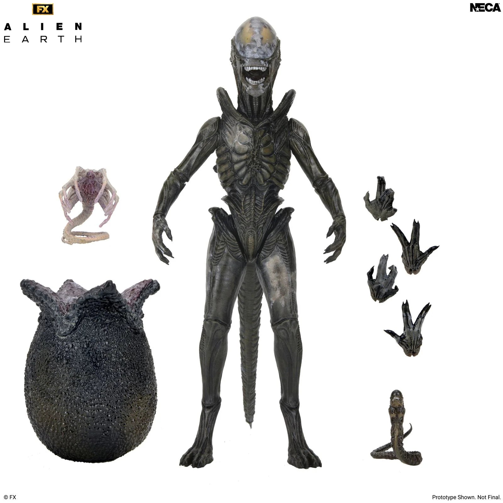 NECA - Alien: Earth - Ultimate Wendy's Xenomorph 7" Scale Action Figure (Pre-Order Ships 1st Quarter 2027)