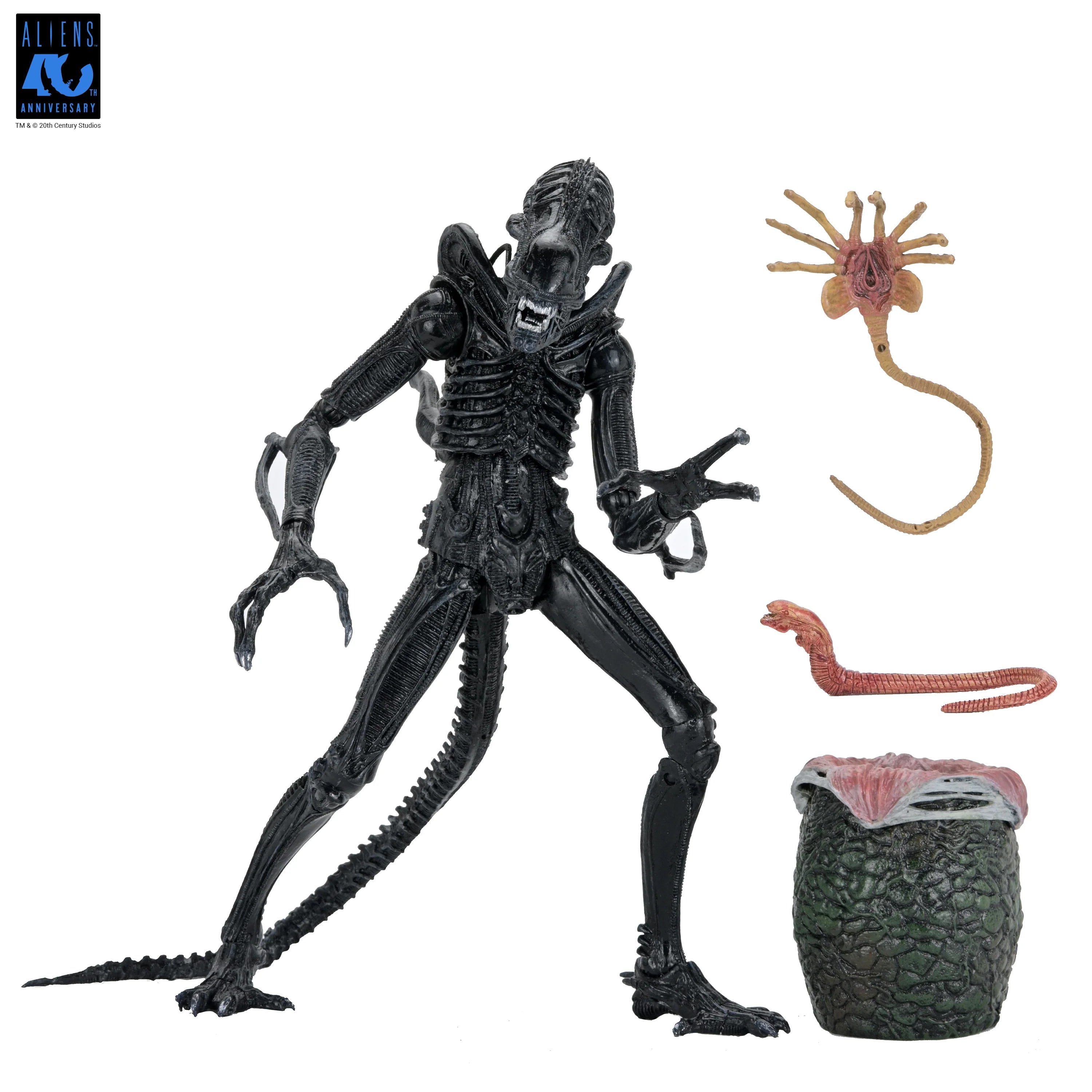 NECA - Alien: 40th Anniversary - Ultimate Xenomorph Warrior 7" Scale Action Figure (Pre-Order Ships September 2026)