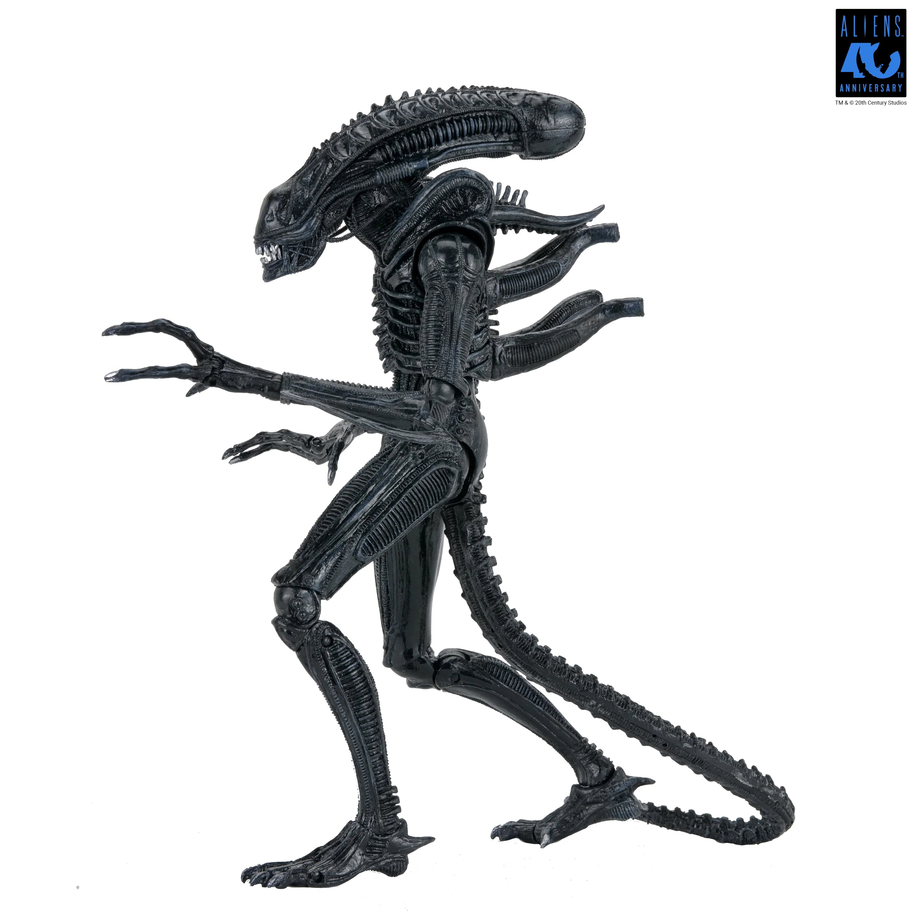 NECA - Alien: 40th Anniversary - Ultimate Xenomorph Warrior 7" Scale Action Figure (Pre-Order Ships September 2026)