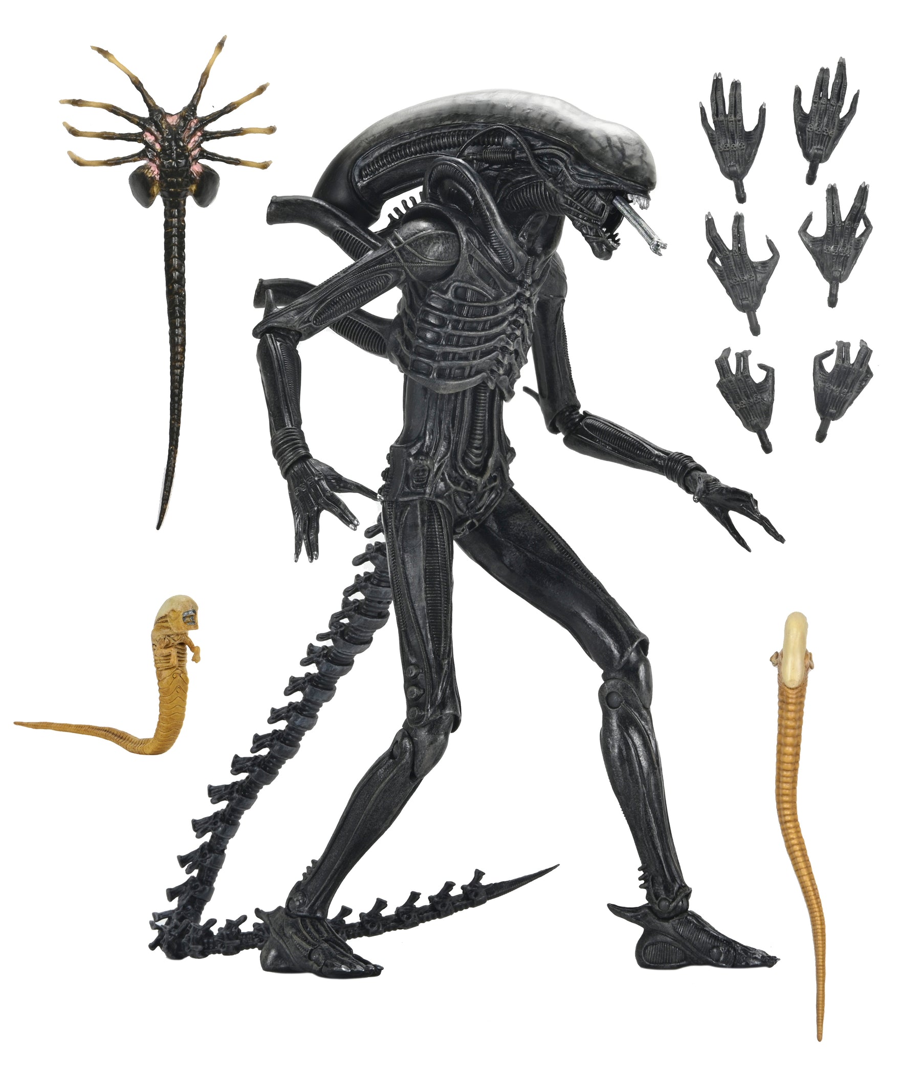 NECA - Alien: Romulus - Ultimate Xenomorph XX121 7" Scale Action Figure