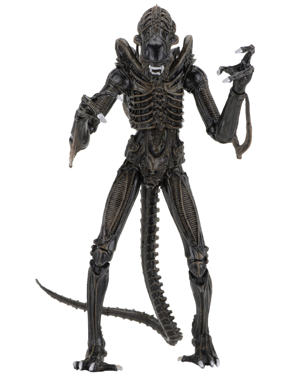 NECA - Aliens - Ultimate Alien Warrior (Brown) 7" Action Figure - Zlc Collectibles