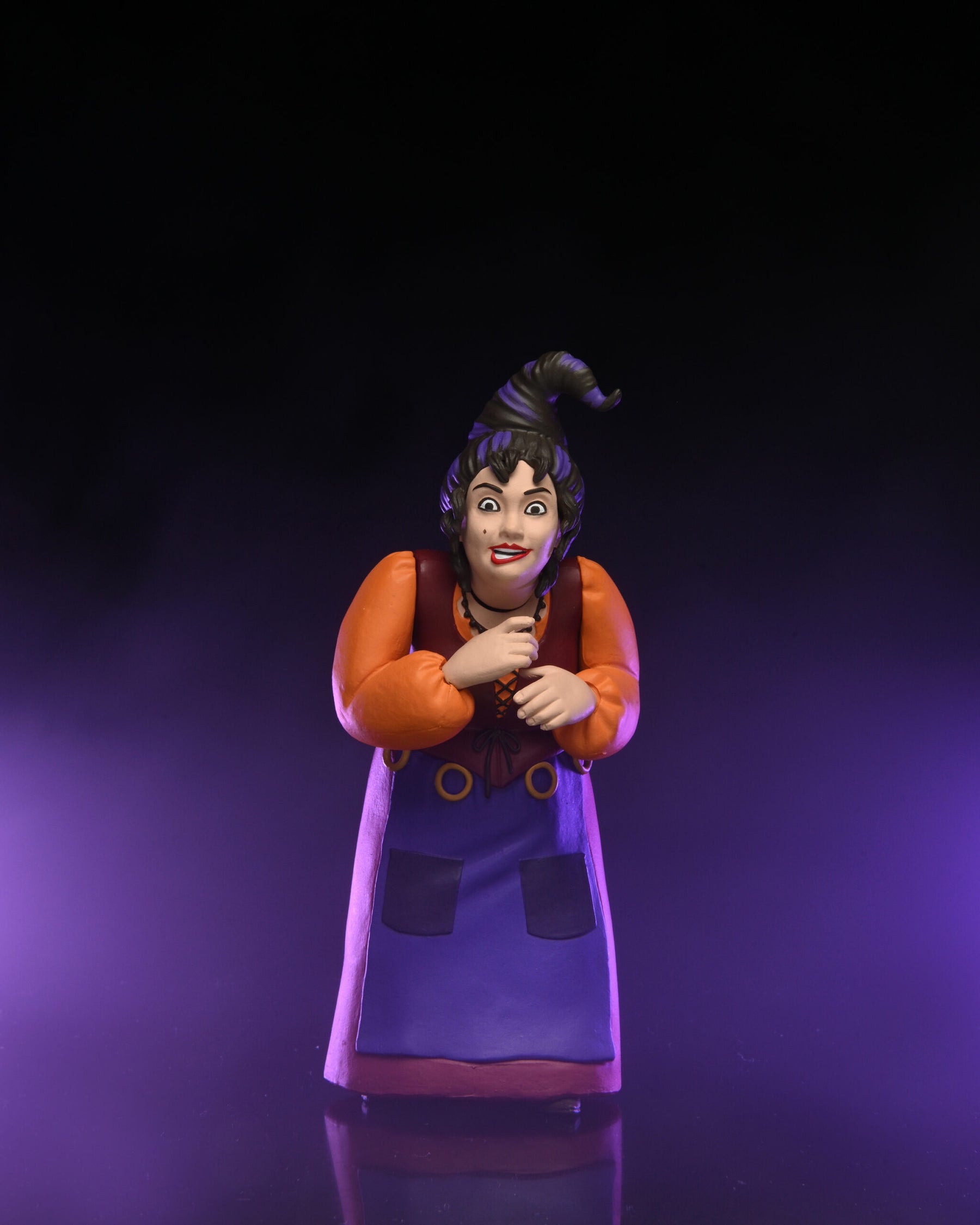 NECA - Toony Terrors Mary Sanderson (Hocus Pocus) 6" Action Figure