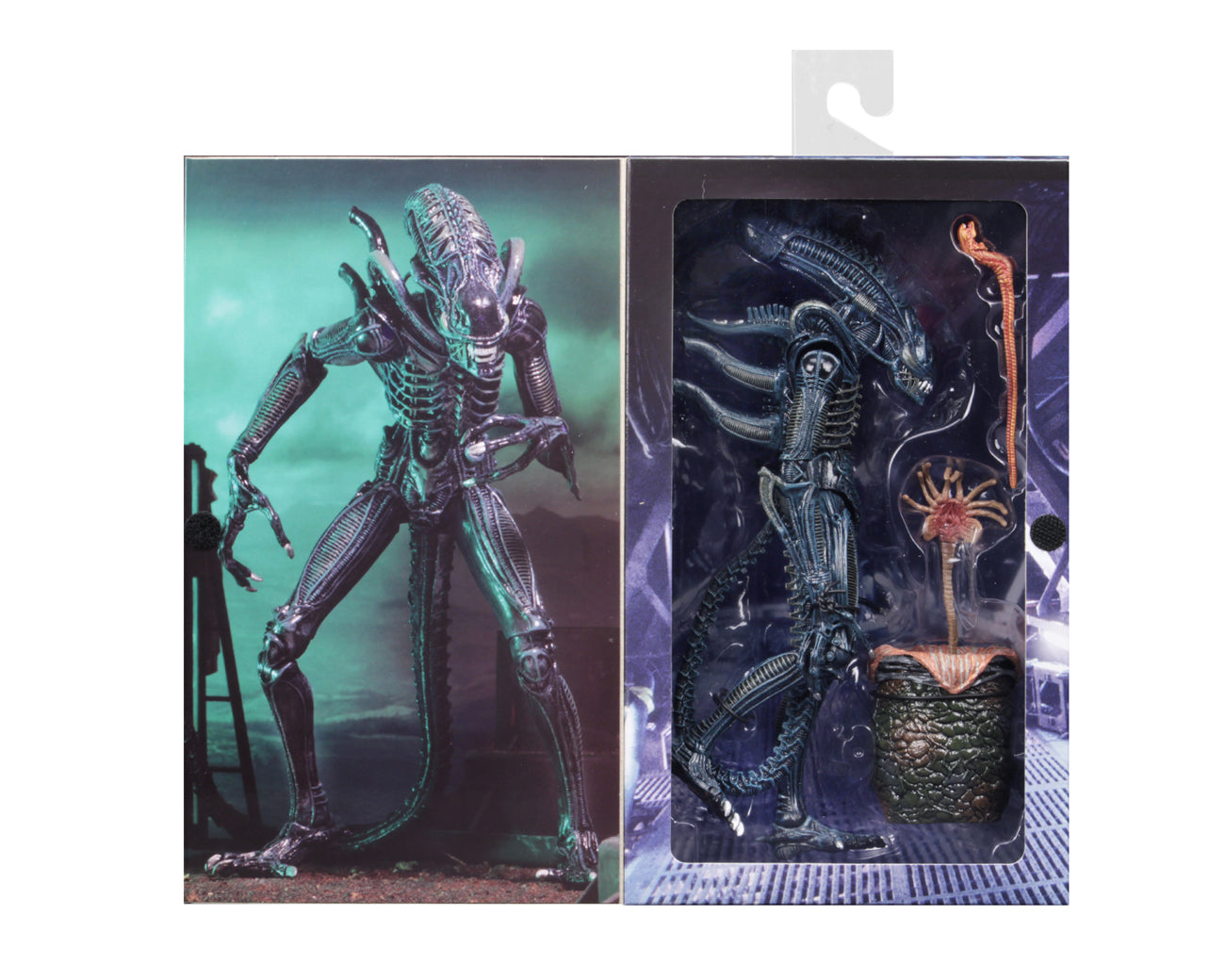 NECA - Aliens - Ultimate Alien Warrior (Blue) 7" Action Figure - Zlc Collectibles