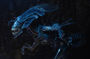 NECA - Aliens - Xenomorph Queen Ultra Deluxe Boxed Action Figure