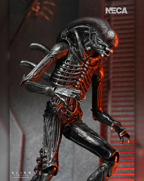 NECA - Alien: Romulus - Ultimate Xenomorph XX121  7" Scale Action Figure (Pre-Order Ships Q3 2025)