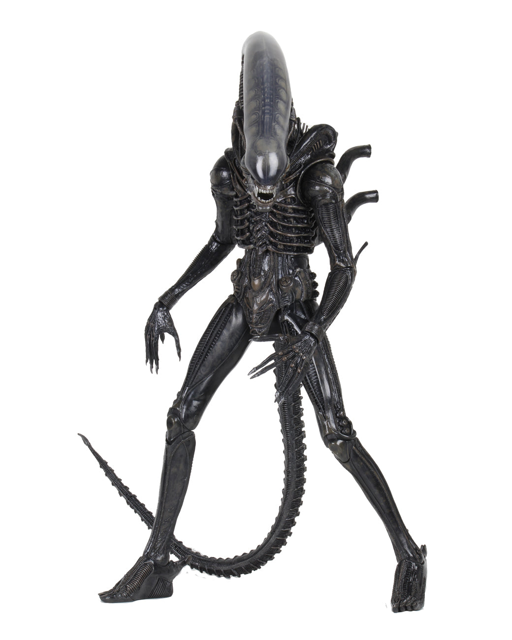 Big Chap Xenomorph 1/4 Scale 22
