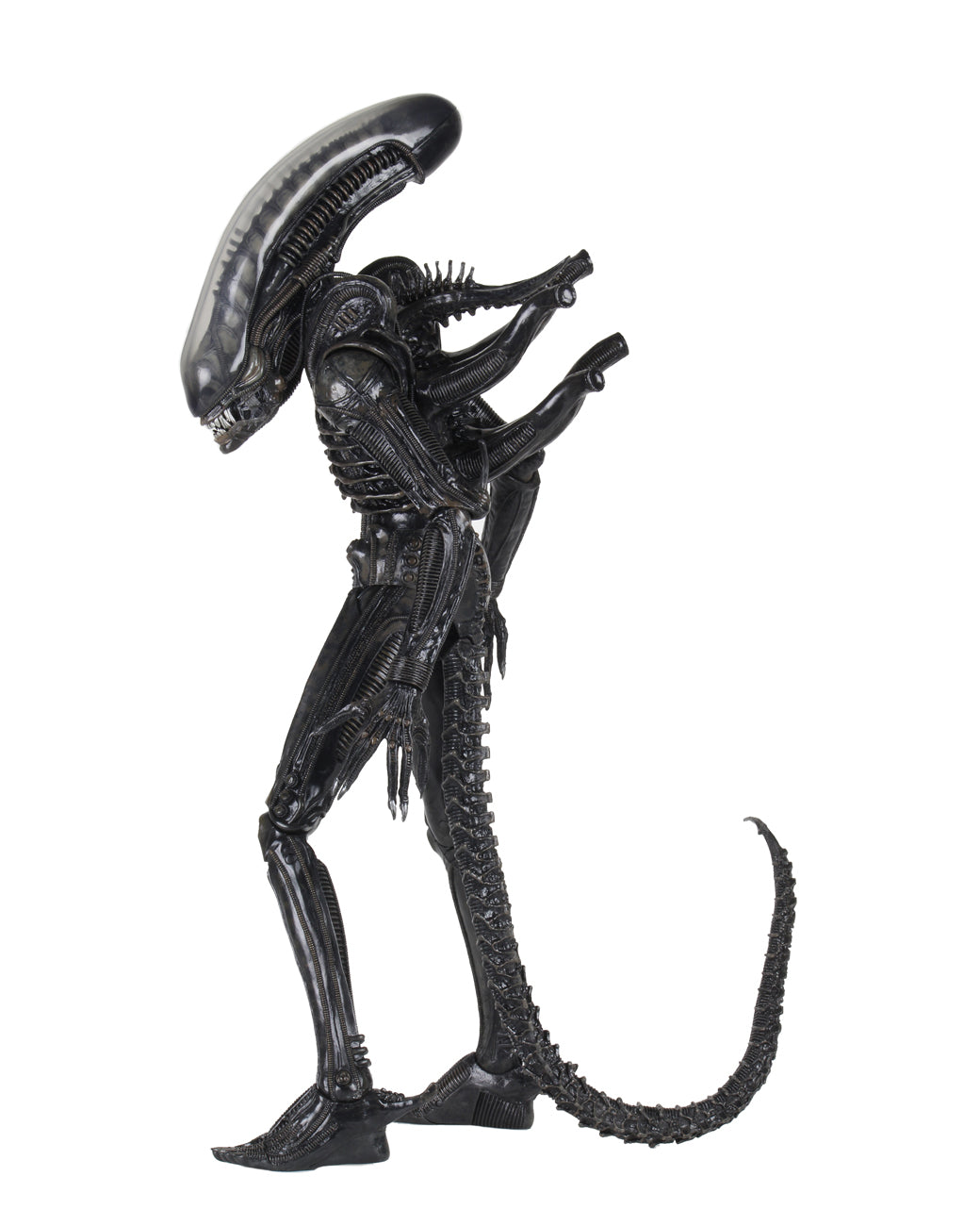 Big Chap Xenomorph 1/4 Scale 22