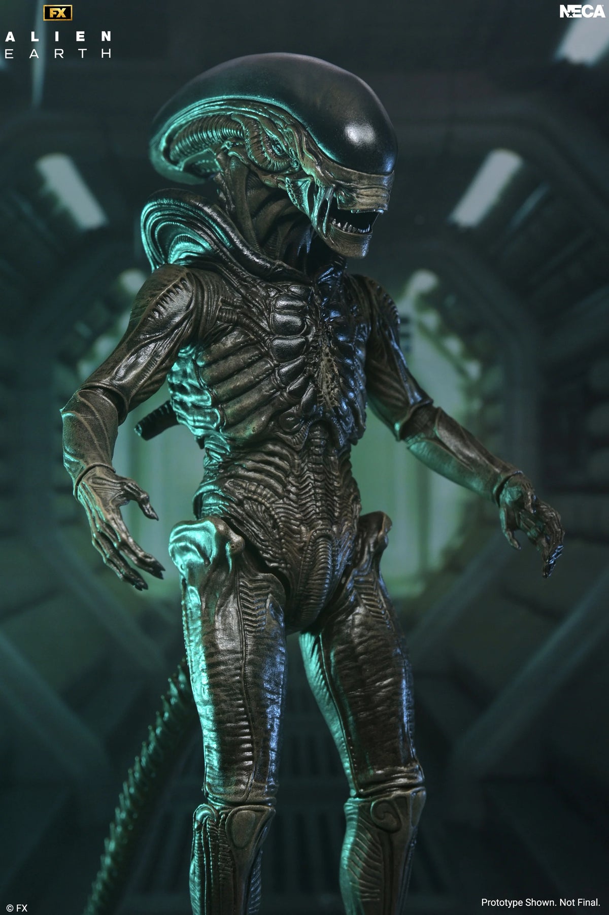 NECA Alien Earth Ultimate Xenomorph 7