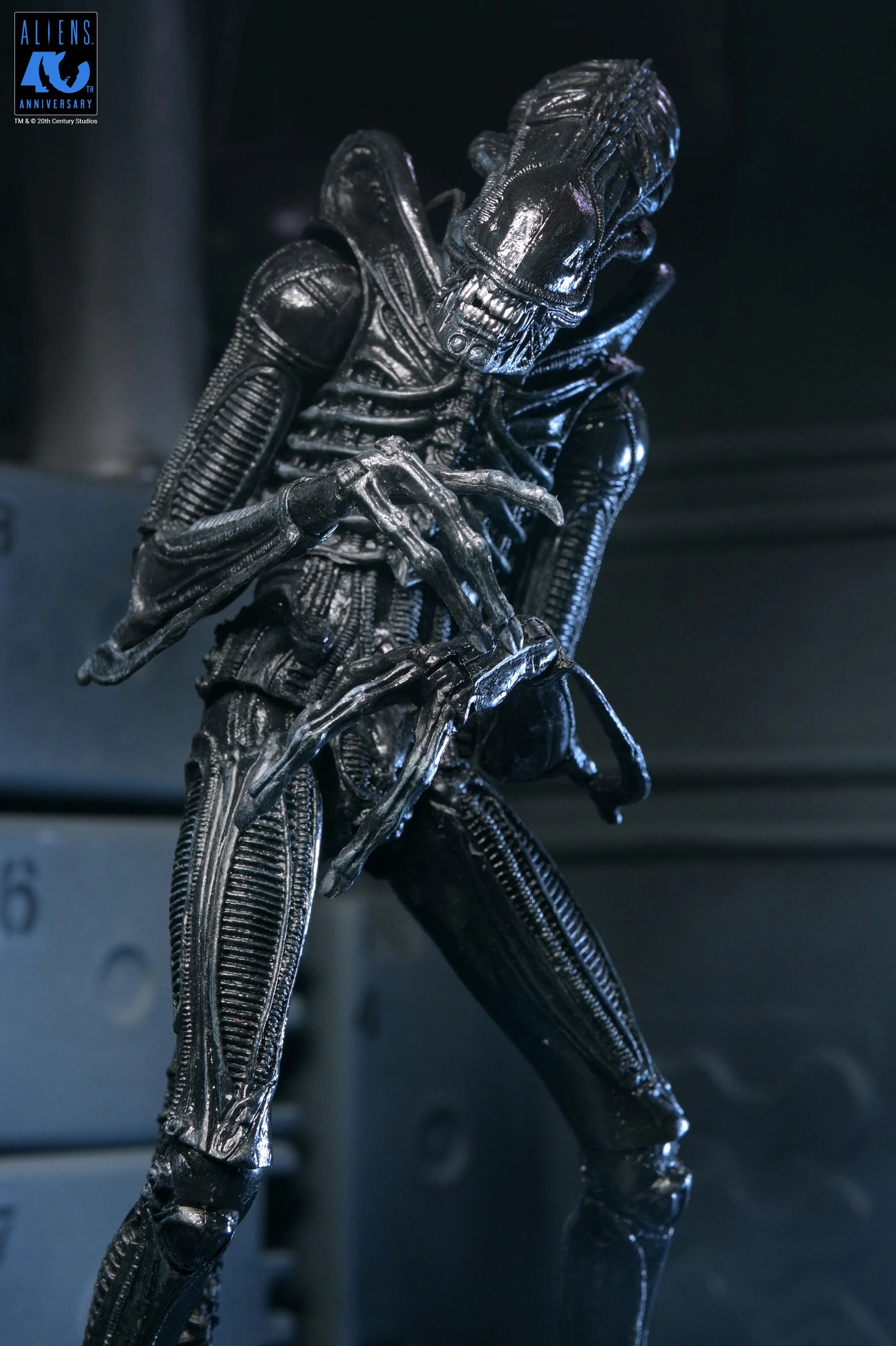 NECA - Alien: 40th Anniversary - Ultimate Xenomorph Warrior 7" Scale Action Figure (Pre-Order Ships September 2026)