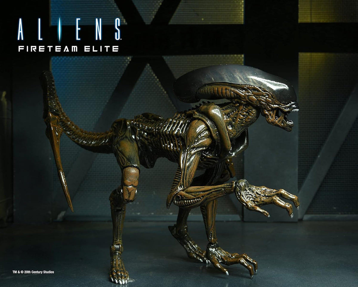 NECA - Aliens: Fireteam Elite - Ultimate Runner Alien 7" Scale Action Figure