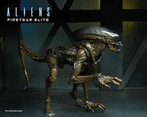 NECA - Aliens: Fireteam Elite - Ultimate Runner Alien 7" Scale Action Figure