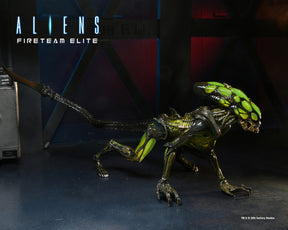 NECA - Aliens: Fireteam Elite - Ultimate Burster Alien 7" Scale Action Figure