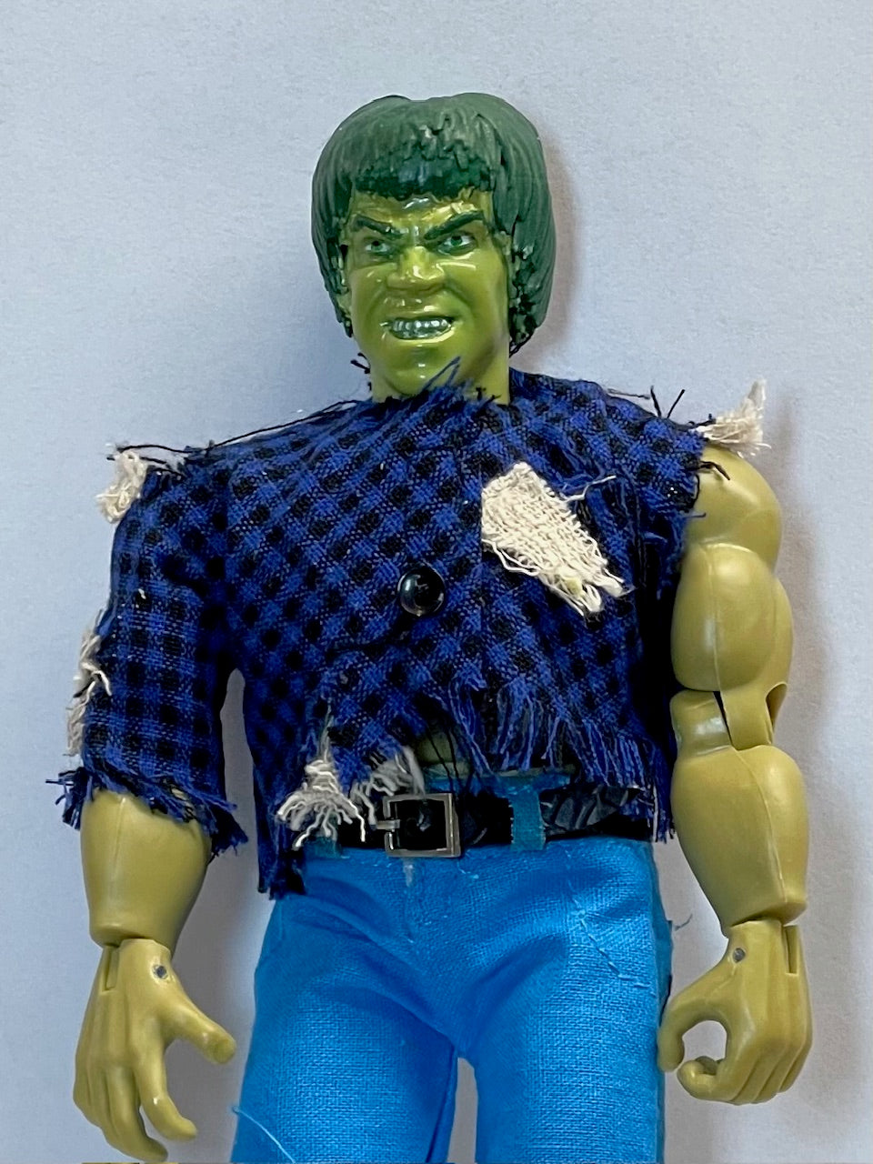 Brent Dolz The Incredible Hulk  - Hulk 8" Action Figure