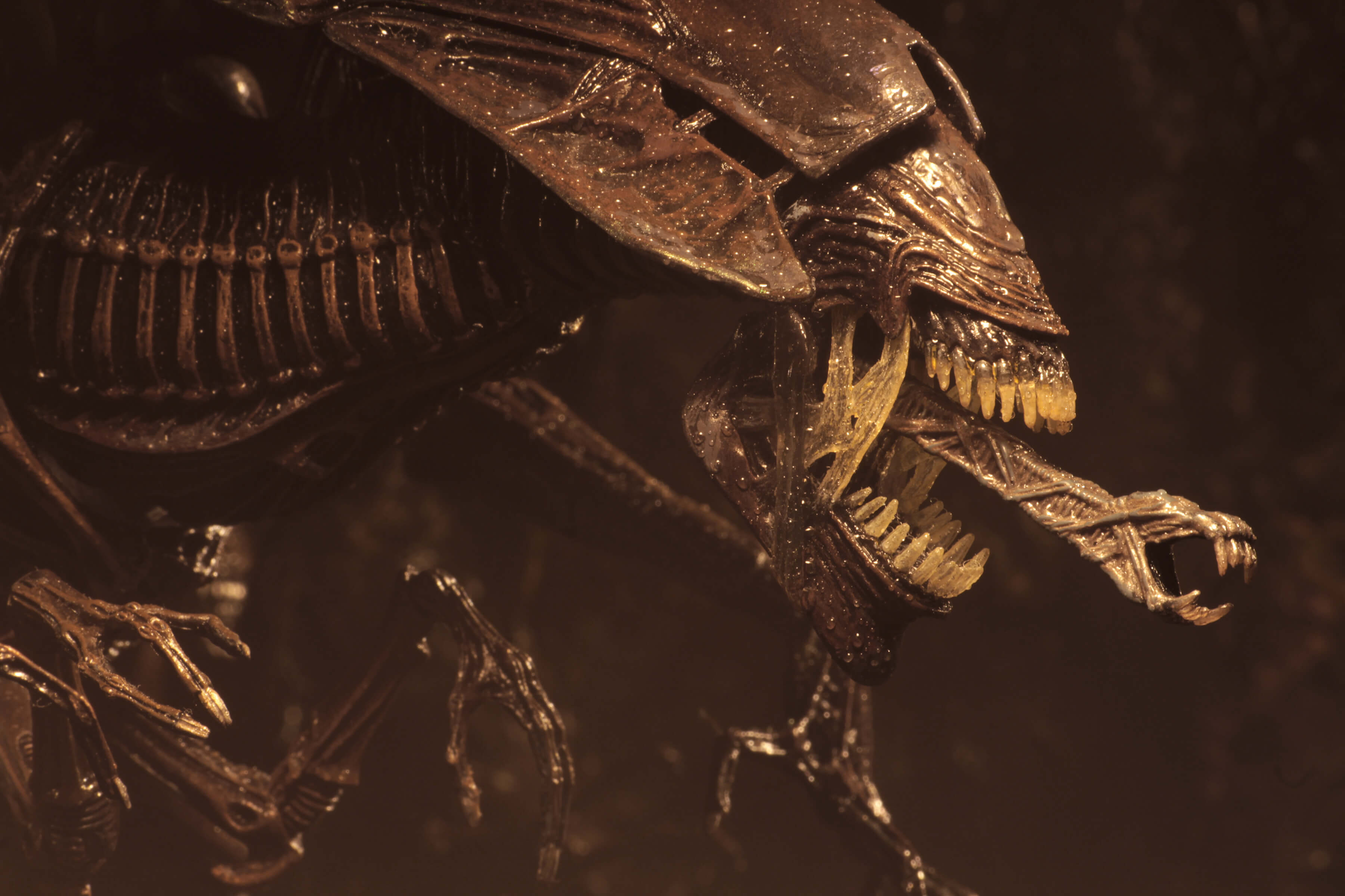 NECA - Aliens: Resurrection - Alien Queen Ultra Deluxe Boxed Figure (Pre-Order Ships September 2026)