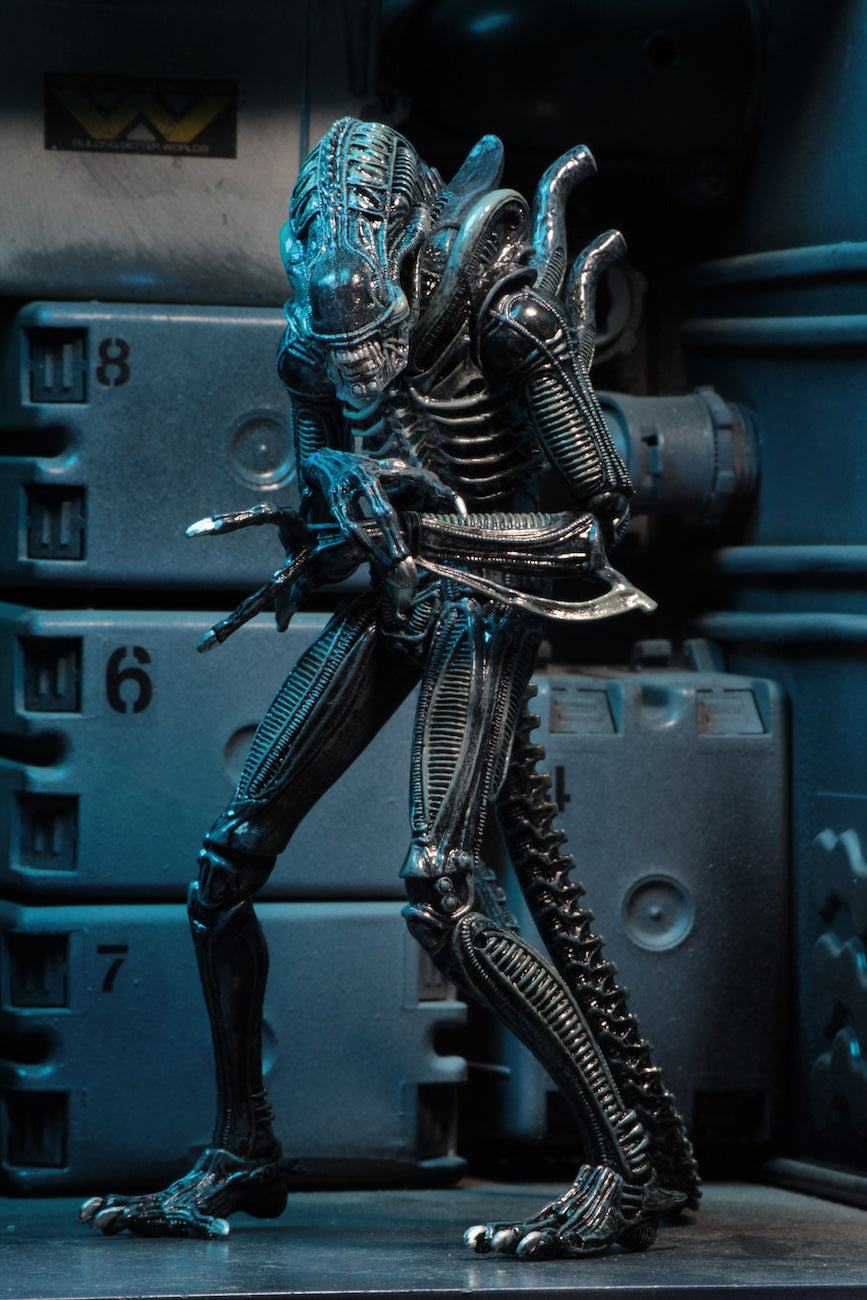 NECA Aliens Ultimate Alien Warrior Blue 7