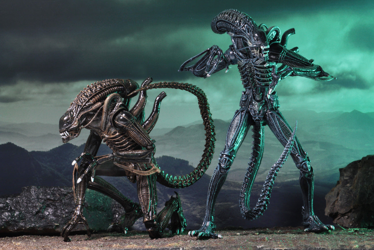 NECA - Aliens - Ultimate Alien Warrior (Blue) 7" Action Figure - Zlc Collectibles