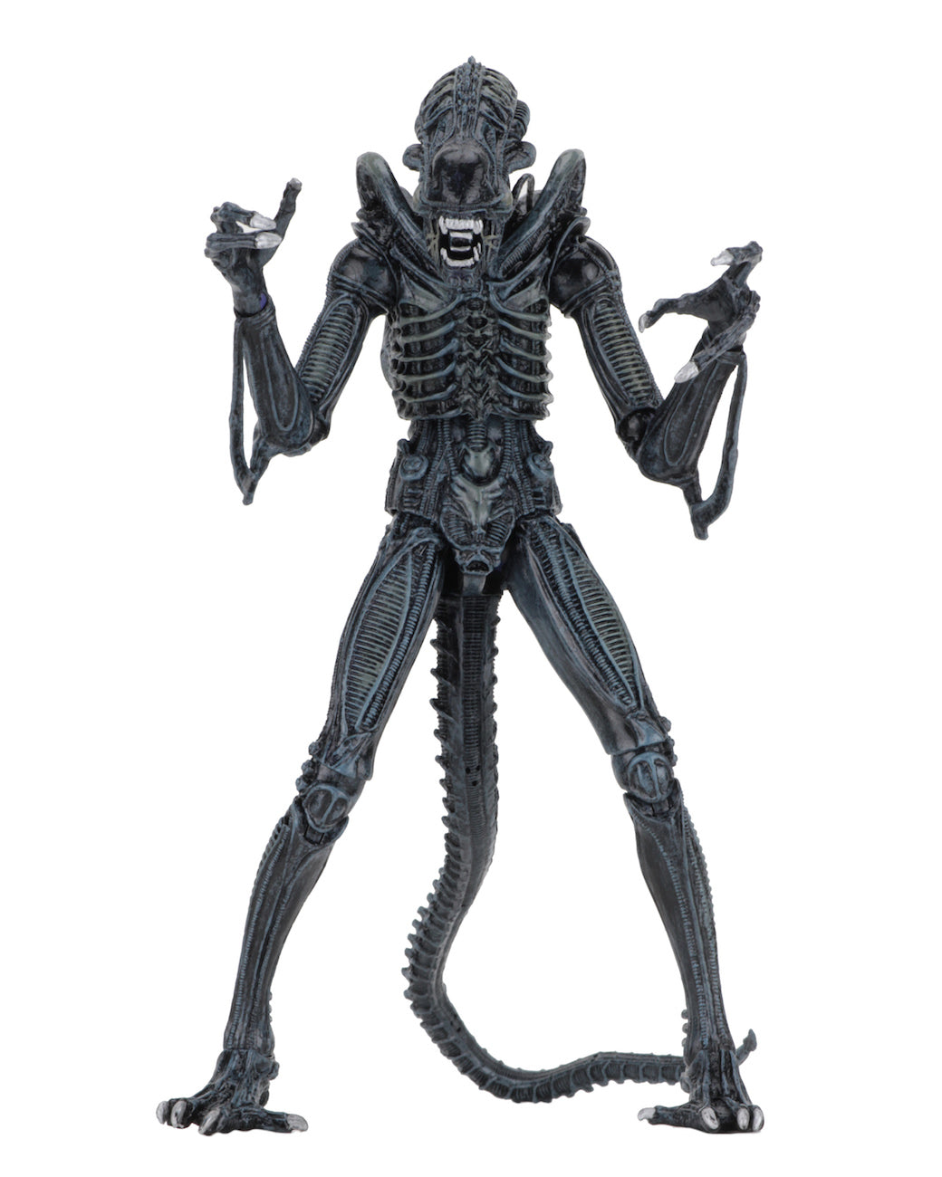 NECA - Aliens - Ultimate Alien Warrior (Blue) 7" Action Figure - Zlc Collectibles