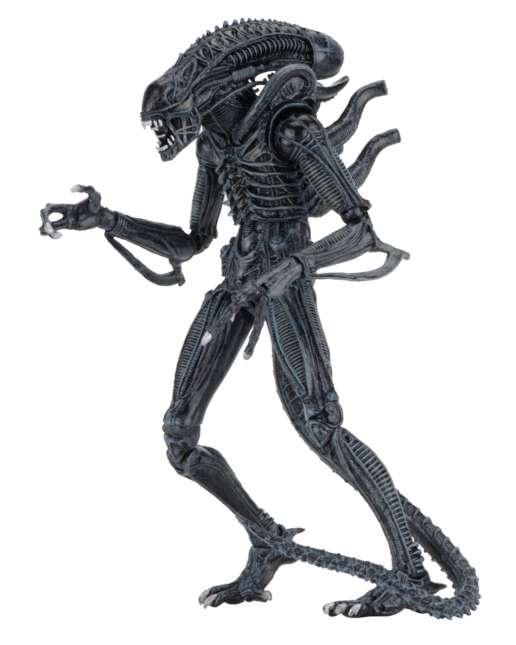 NECA - Aliens - Ultimate Alien Warrior (Blue) 7" Action Figure - Zlc Collectibles