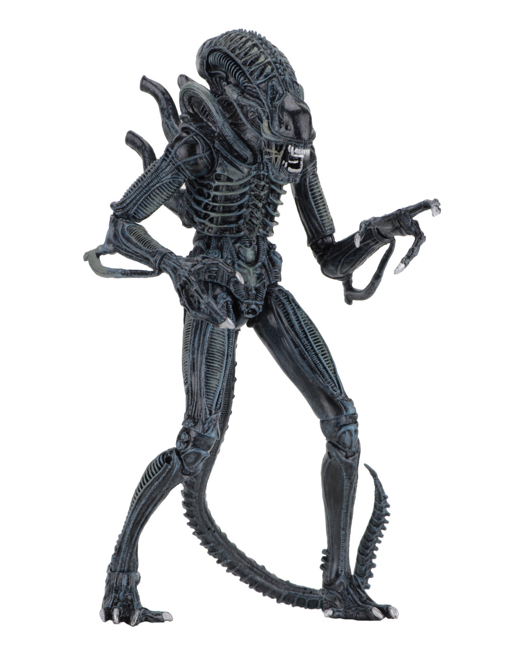 NECA - Aliens - Ultimate Alien Warrior (Blue) 7" Action Figure - Zlc Collectibles