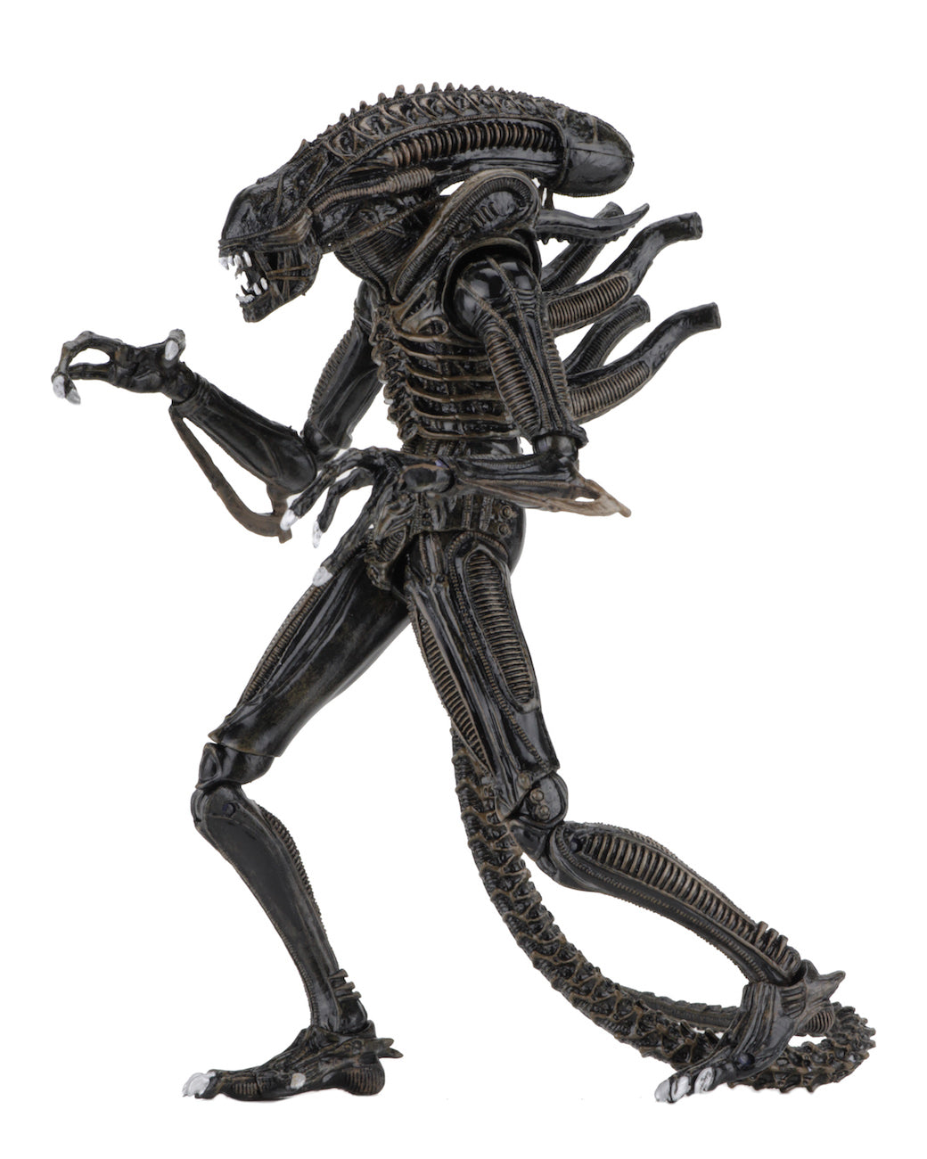 NECA - Aliens - Ultimate Alien Warrior (Brown) 7" Action Figure - Zlc Collectibles
