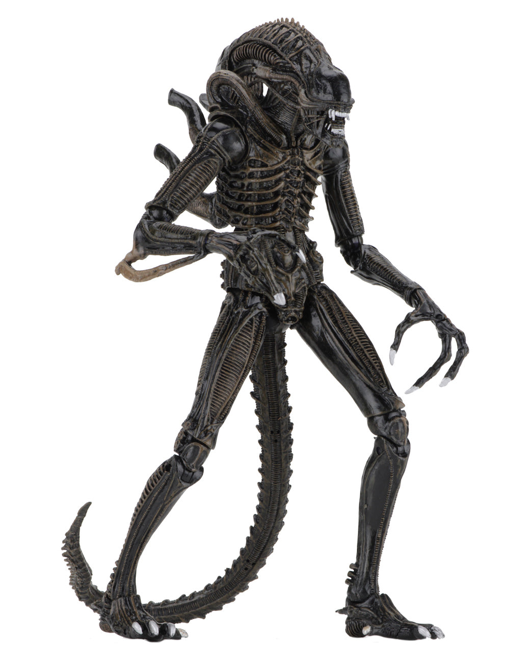 NECA Aliens Ultimate Alien Warrior Brown 7 NECA Aliens Ultimate Alien Warrior Brown 7