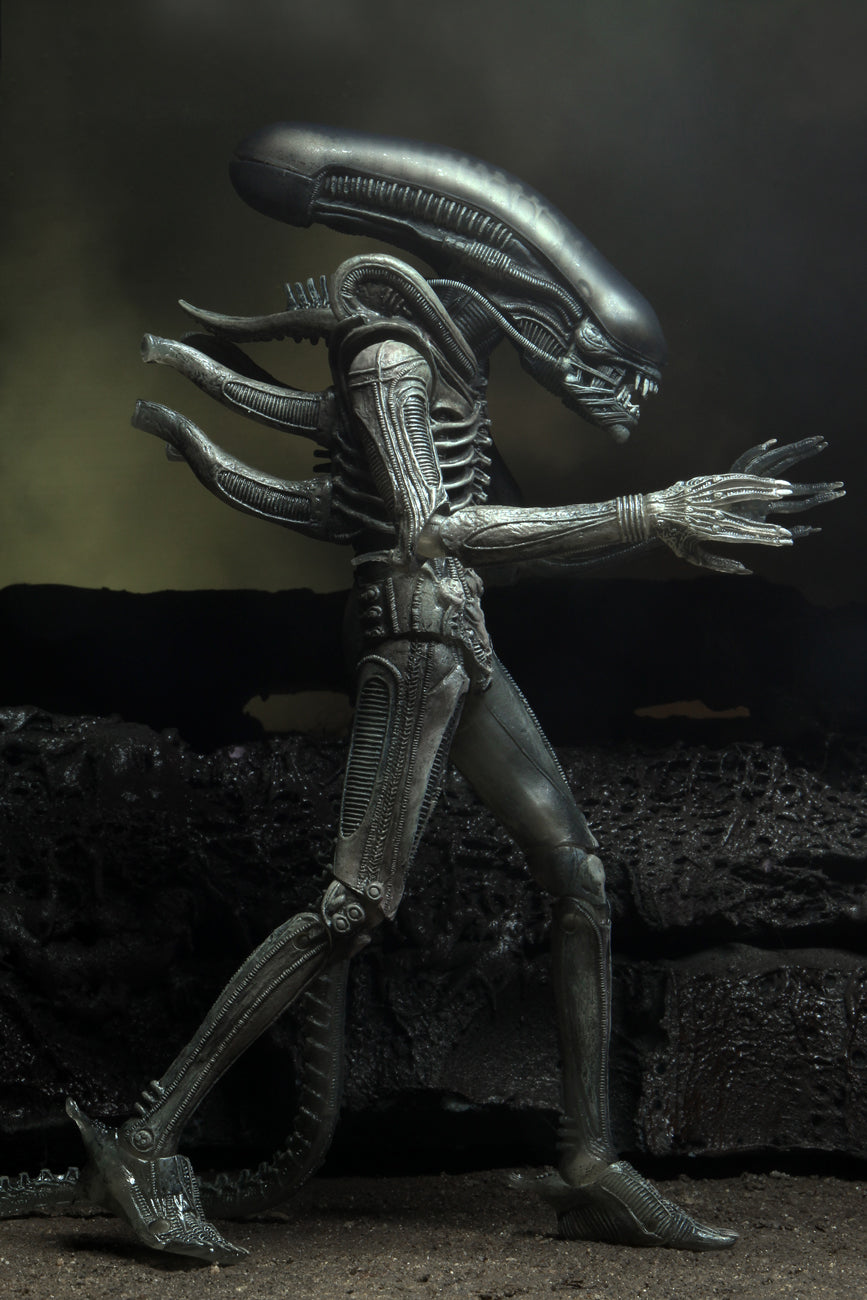 NECA - Aliens - 40TH Anniversary Wave 4 Set of 3 - 7" Action Figures (Pre-Order Ships May) - Zlc Collectibles