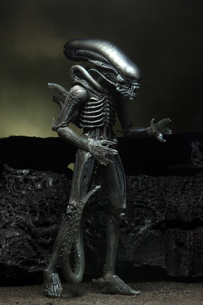 NECA - Aliens - 40TH Anniversary Wave 4 Set of 3 - 7" Action Figures (Pre-Order Ships May) - Zlc Collectibles