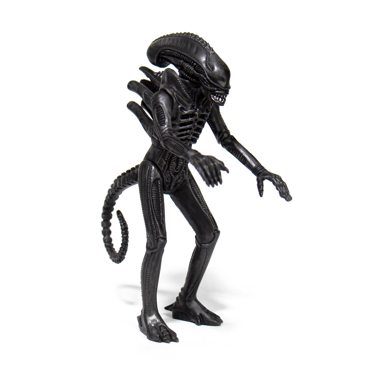 Aliens ReAction Figure - Alien Warrior A (Midnight Black) - Zlc Collectibles