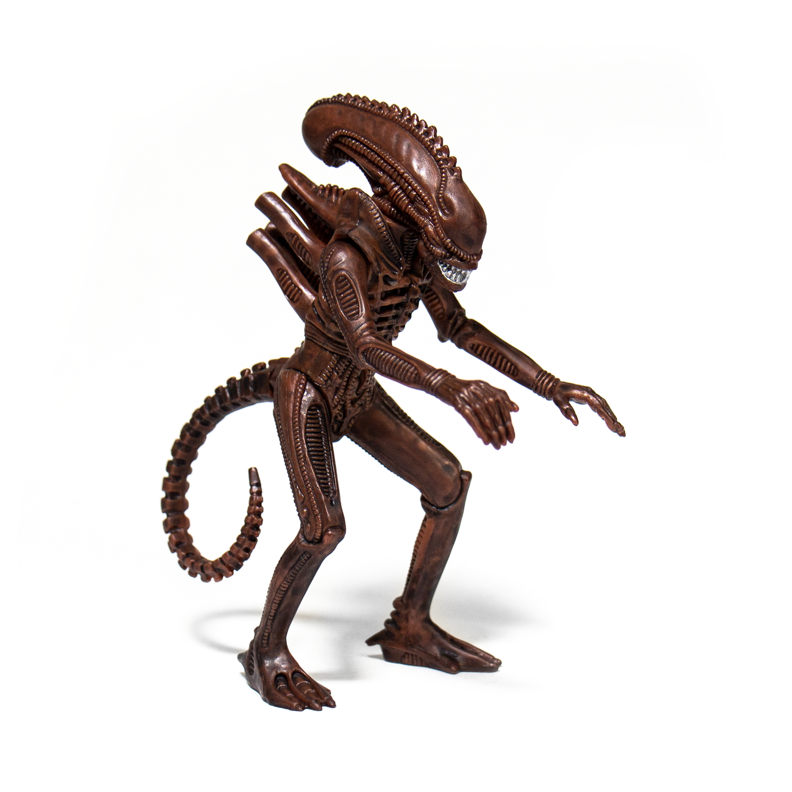 Aliens ReAction Figure - Alien Warrior B (Dusk Brown) - Zlc Collectibles