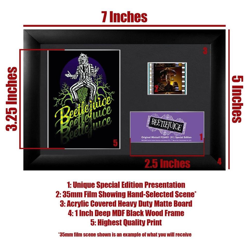 Film Cells LTD - Beetlejuice Mini Cell Presentation