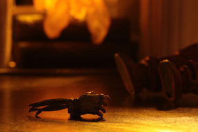 NECA - Trick R Treat  - Ultimate Sam 7" Action Figure - Zlc Collectibles